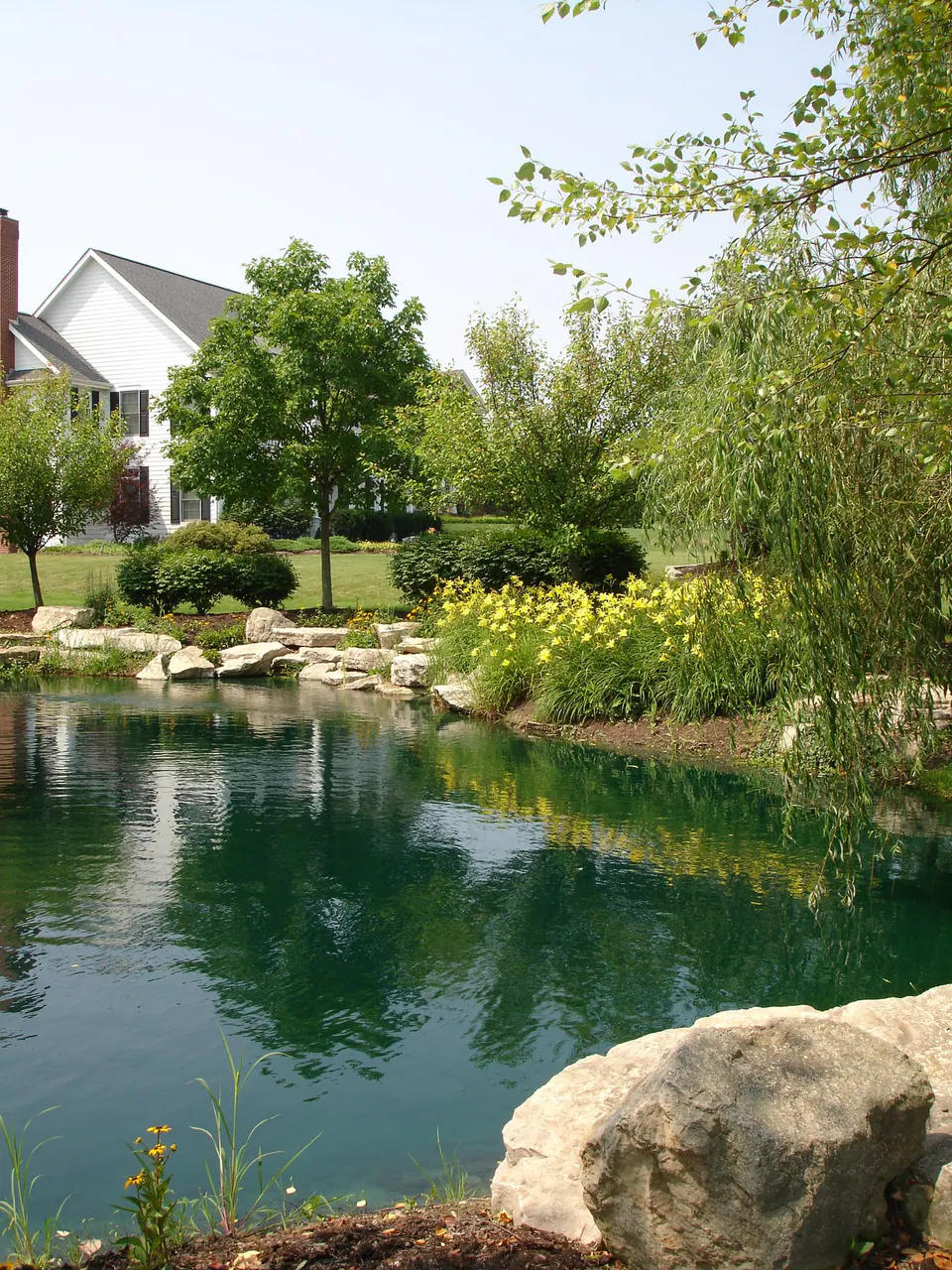 Still pond with boulders at the edge of the water, yellow daylilies and willows on the far bank